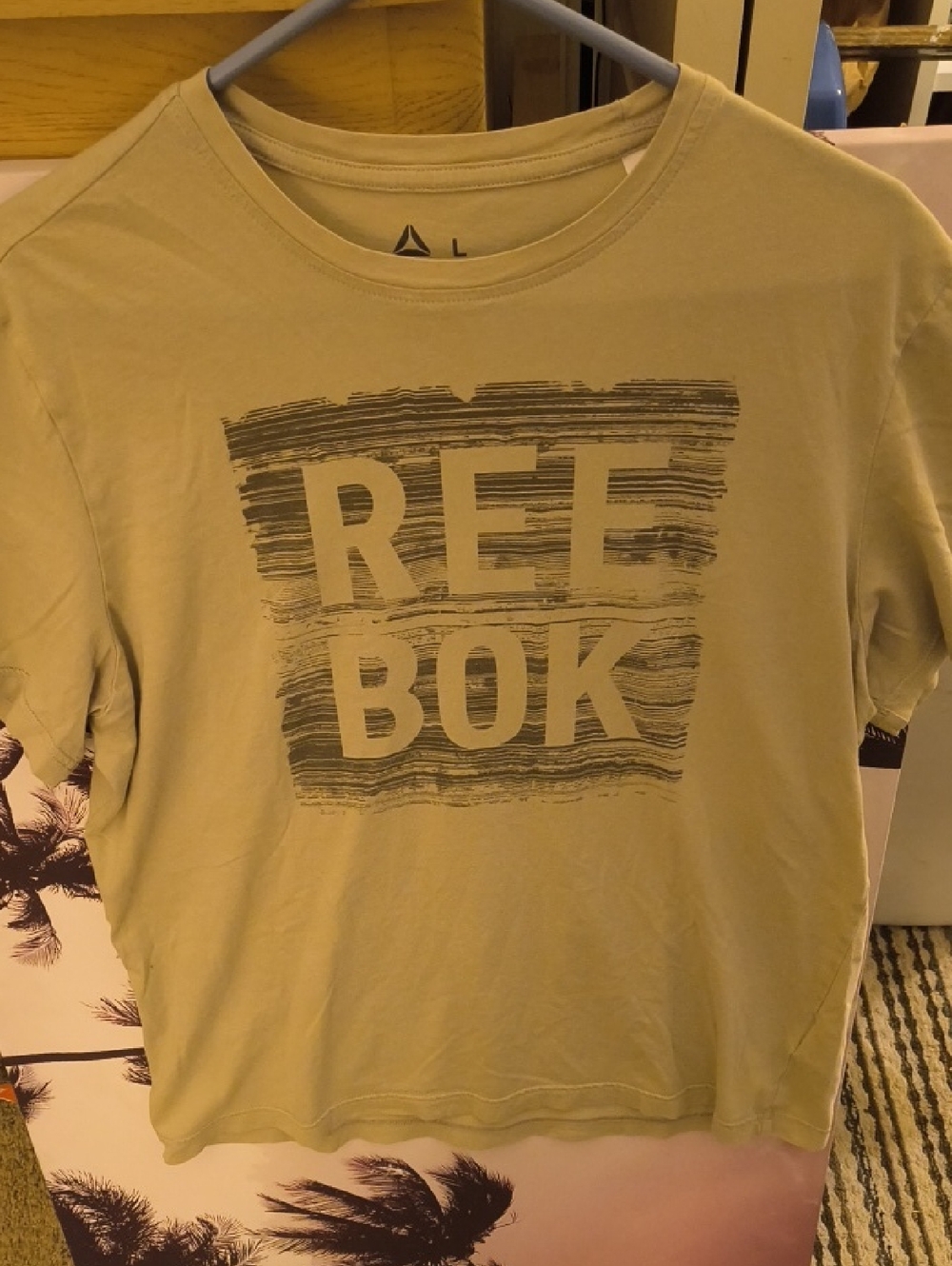 Reebok Men's Short Sleeve Tee in Light Olive with Black Graphic